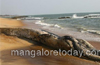 Mangalore: Dead whale lands on Someshwar beach